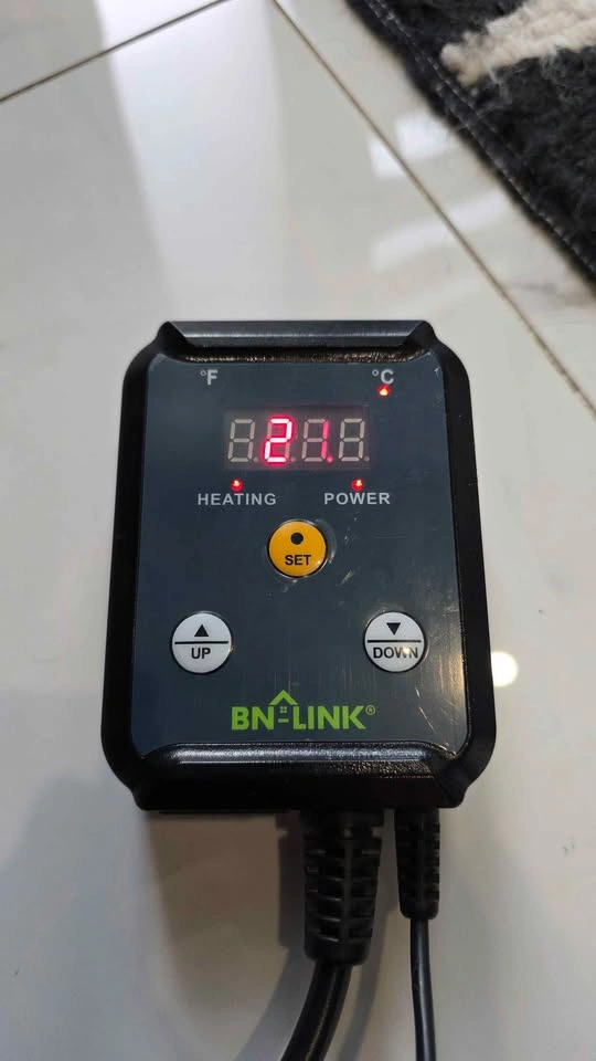 Reptile thermostat for light/heat bulbs - photo 3