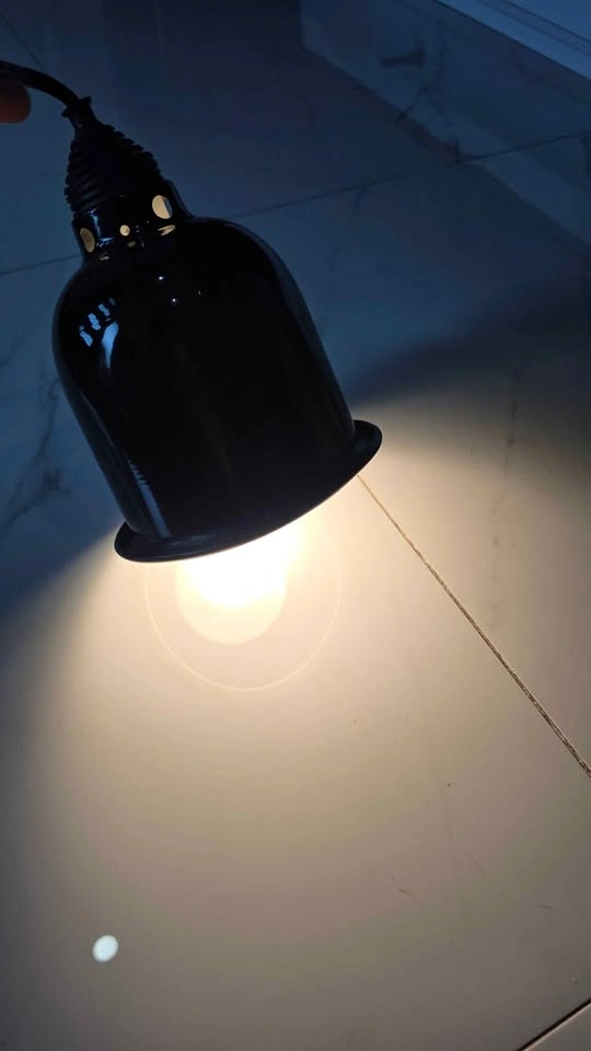 Reptile heat bulb/fixture. - photo 2