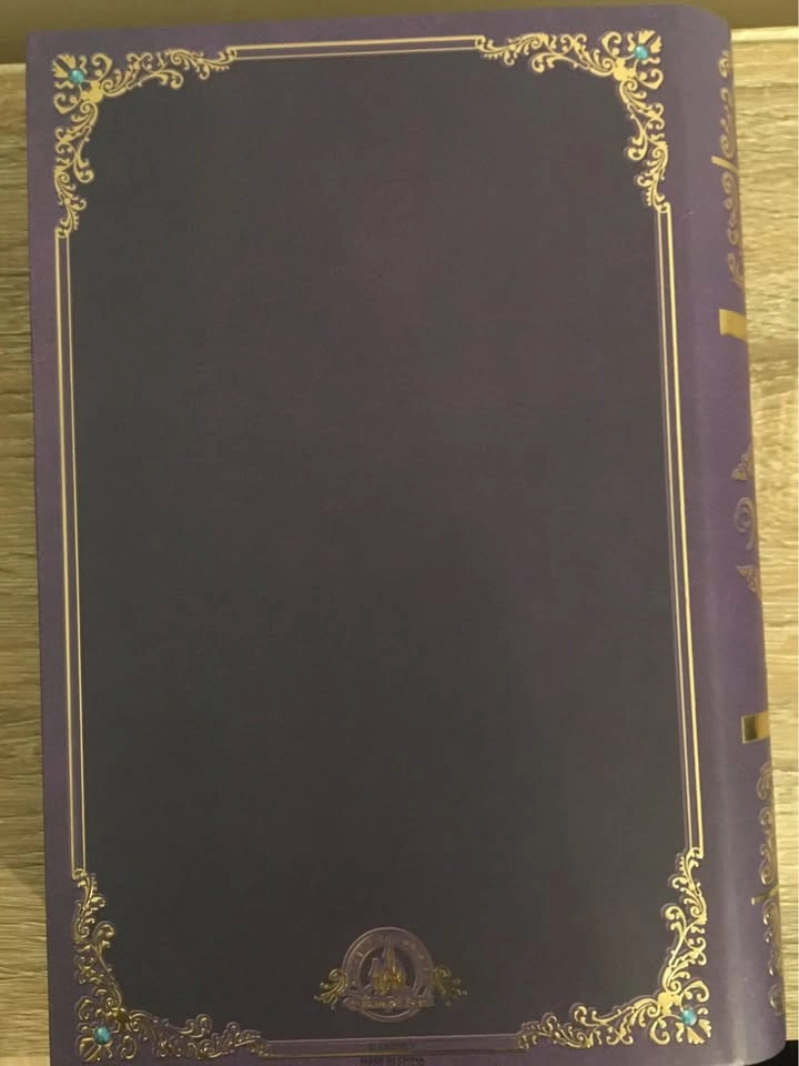 Disney Wishes Book Storage Box - Pickup in Brampton - photo 2