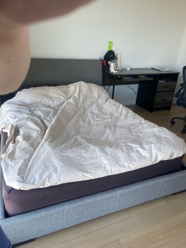Queen Size Bed with Mattress - photo 2