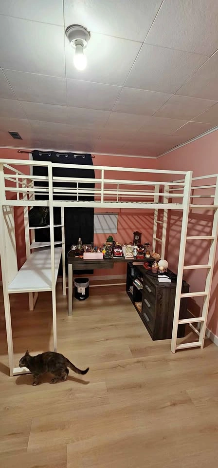 Full loft bed with bookshelf