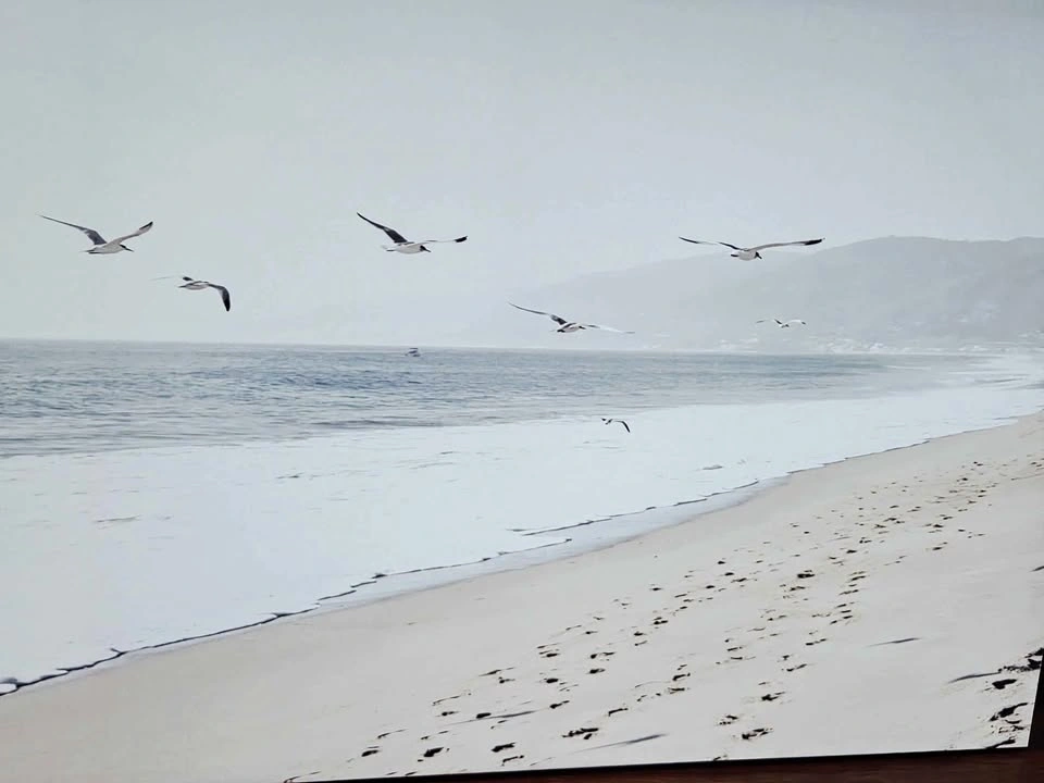 Beach & Seagulls Canvas Art
