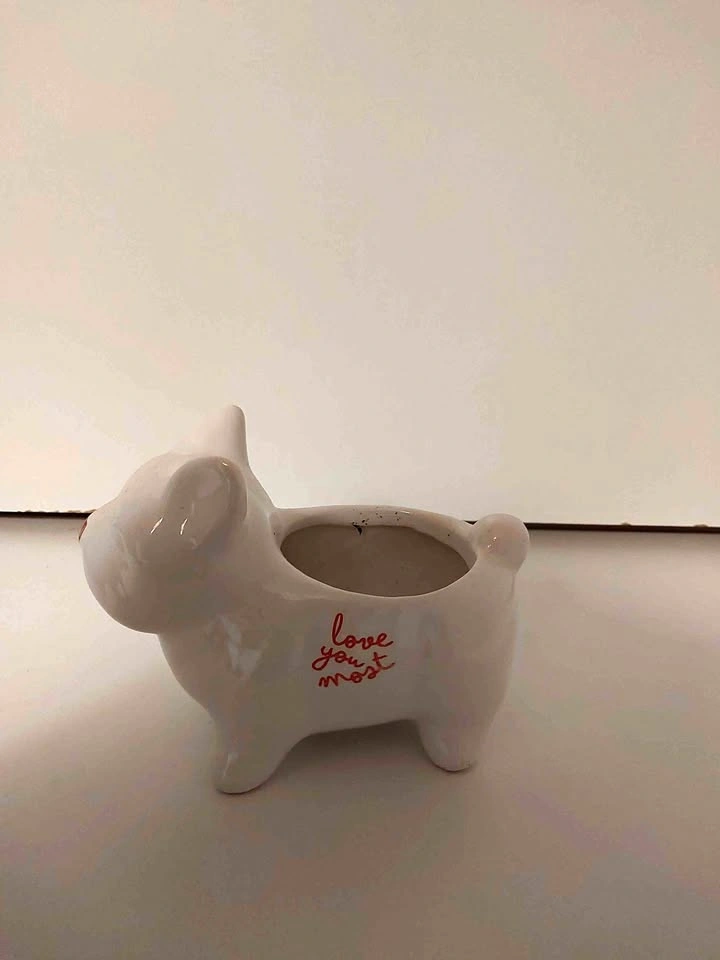 White Ceramic Dog Planter Pot with Love You Most Text