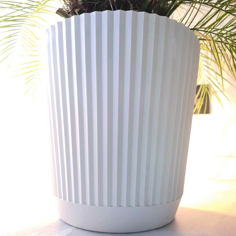 Pygmy Palm Tree with planter | 🟢 FREE DELIVERY! - photo 3