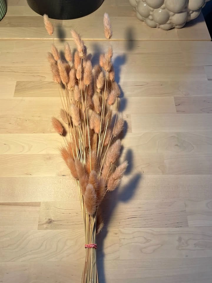 Pink Natural Dried Bunny Tail Grass - Floral Decor