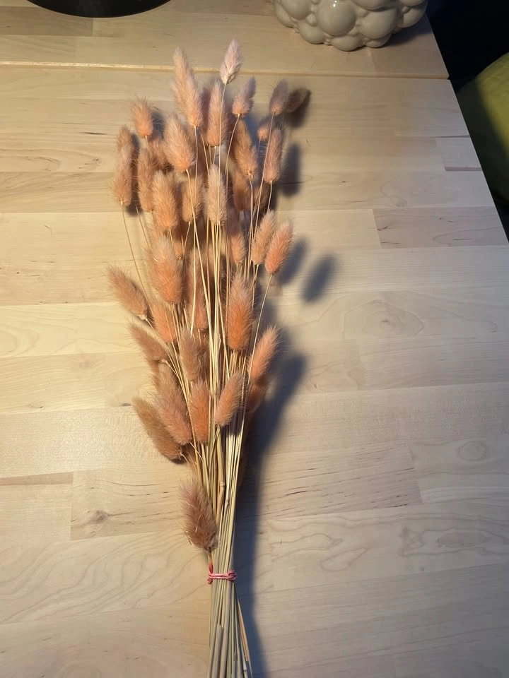 Pink Natural Dried Bunny Tail Grass - Floral Decor - photo 2