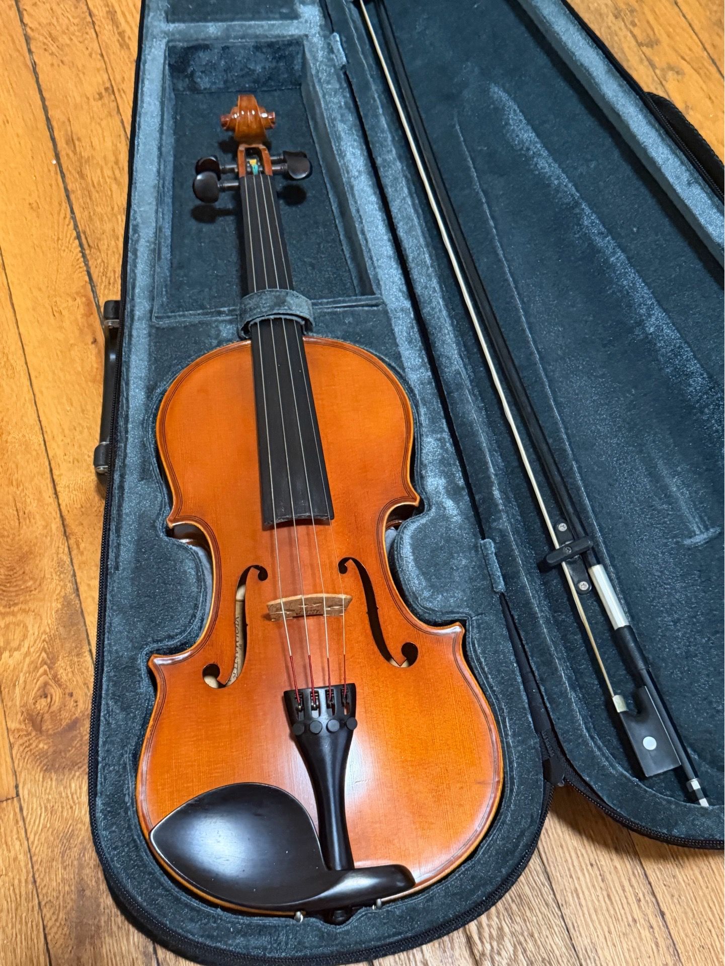 Carlo Robelli Violin