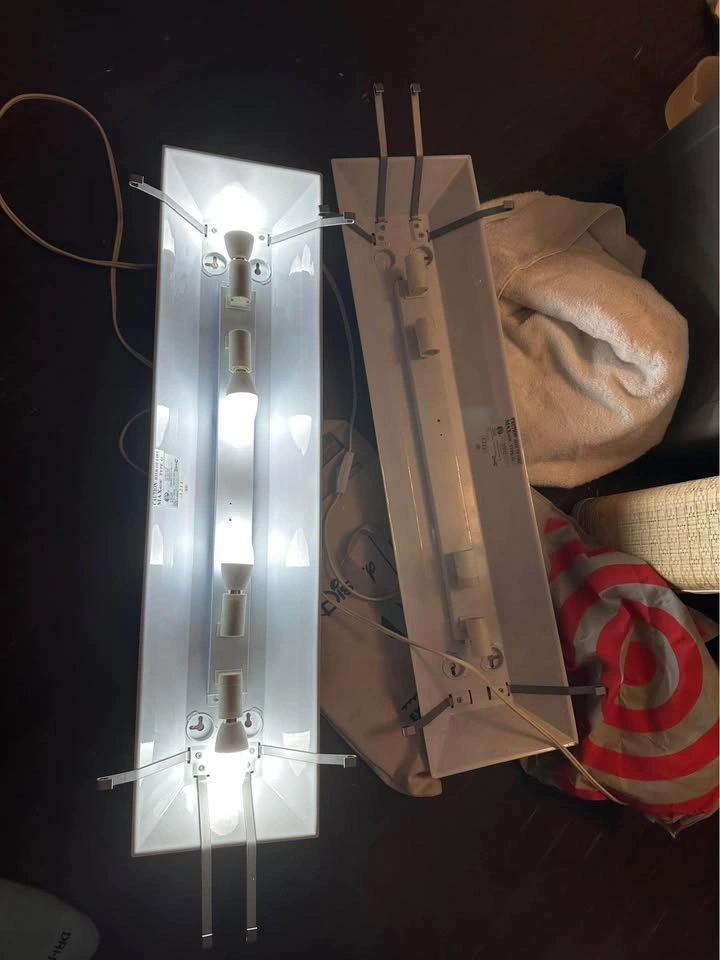 Art Lights - photo 3