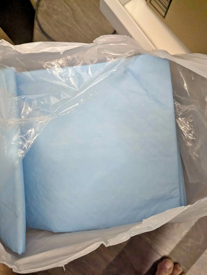 Pet waste pad