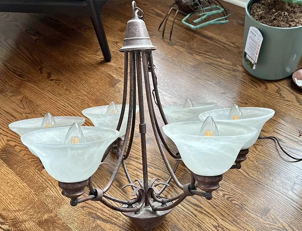 Hampton Bay Chandelier