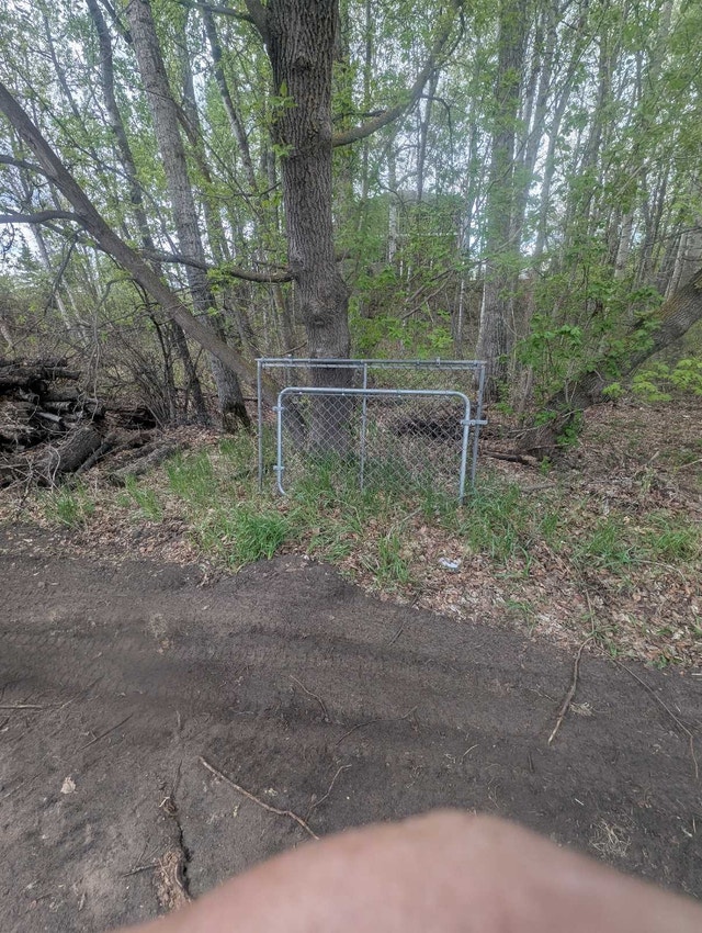 Chain link fence