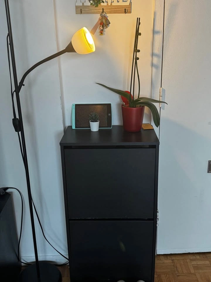 Move out sale - photo 3