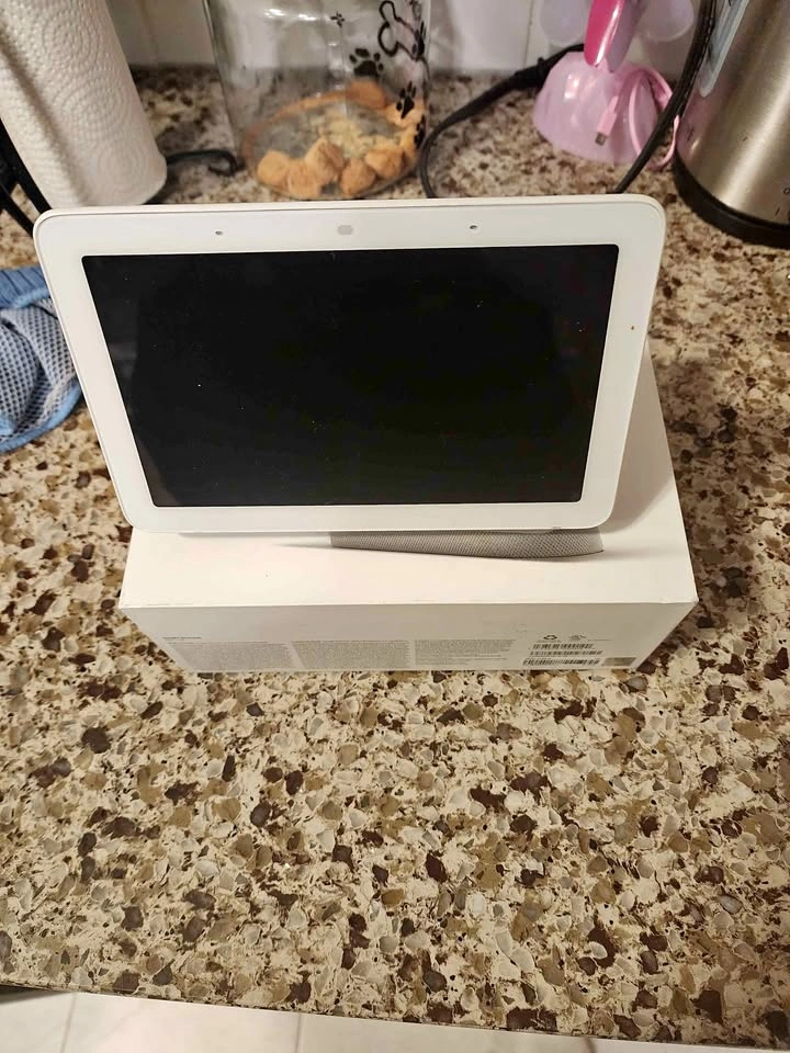 Google Nest Hub