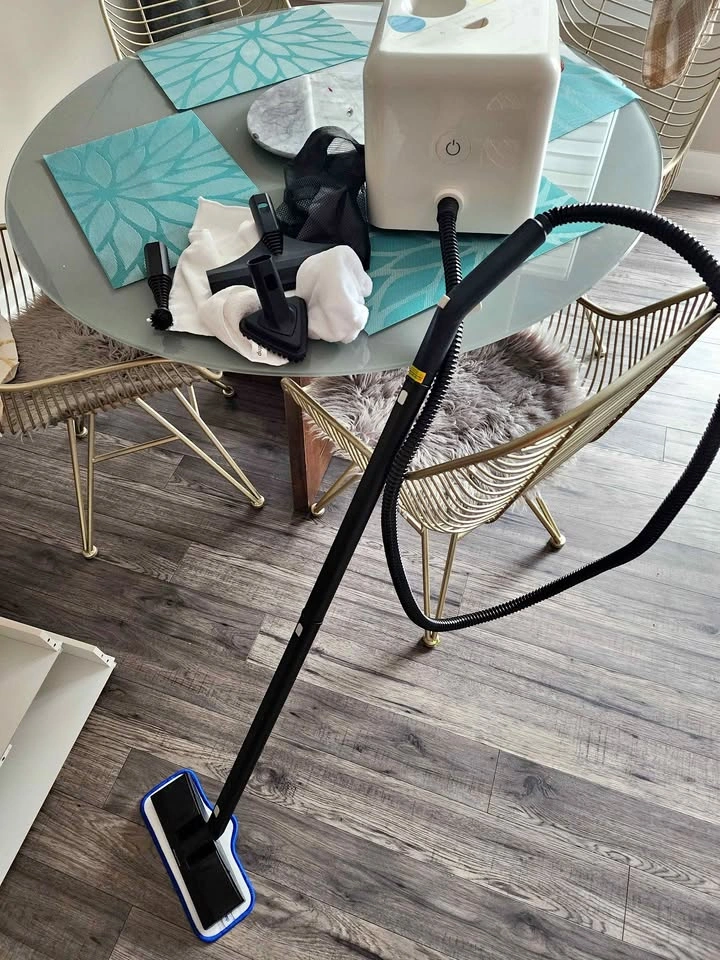 Dupray Neat steam cleaner