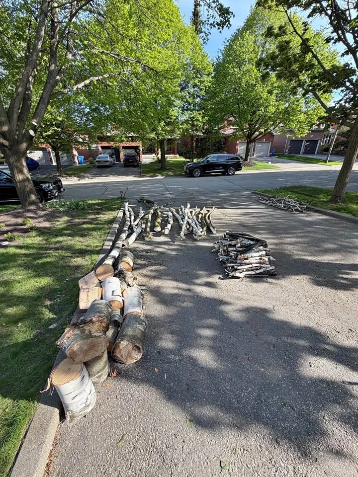 firewood, pick up Aurora