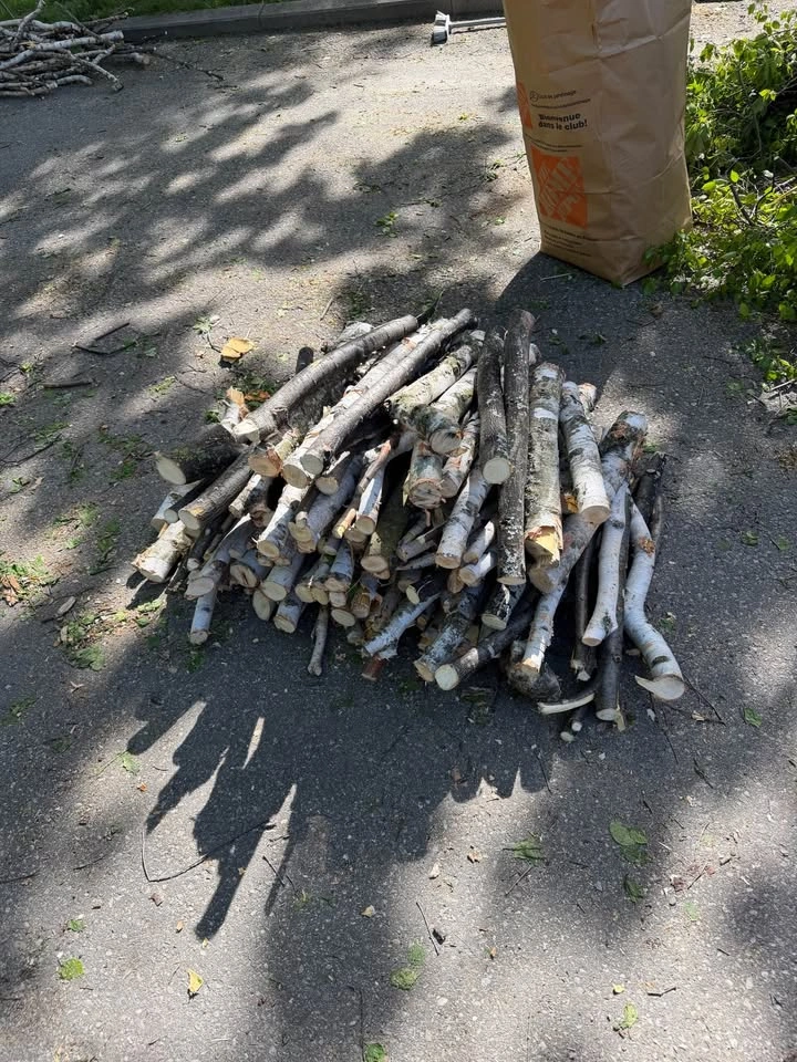 firewood, pick up Aurora - photo 2