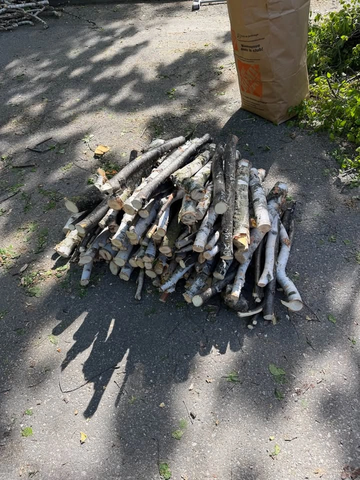 firewood, pick up Aurora - photo 3