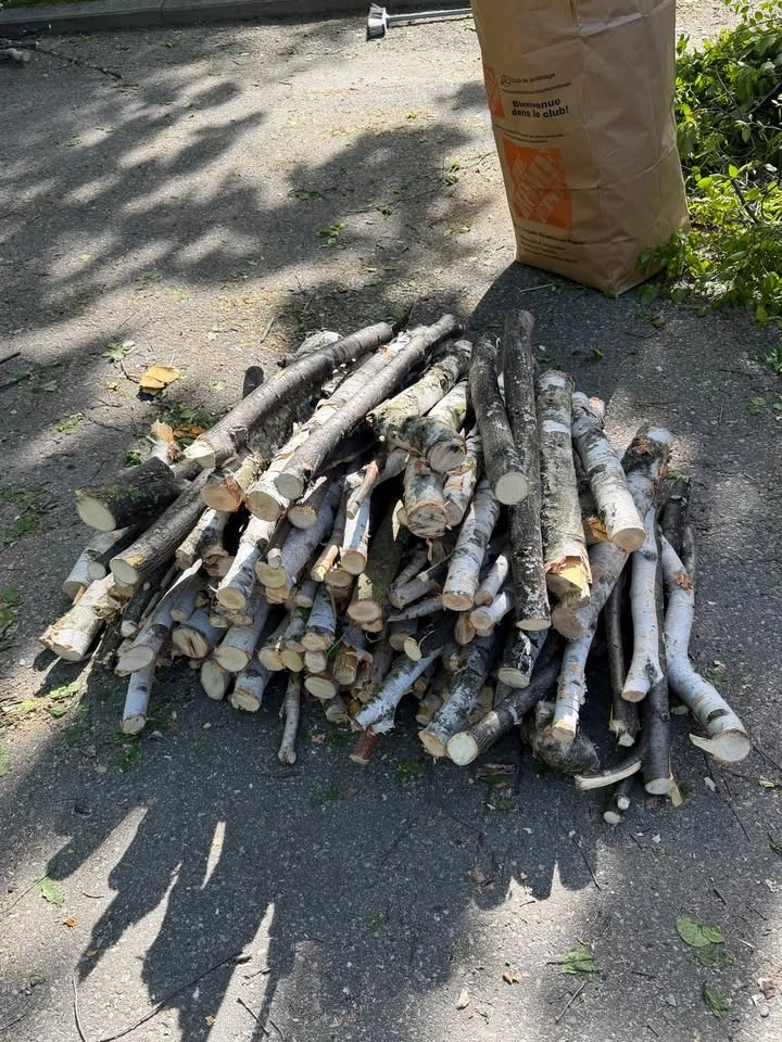 firewood, pick up Aurora - photo 4