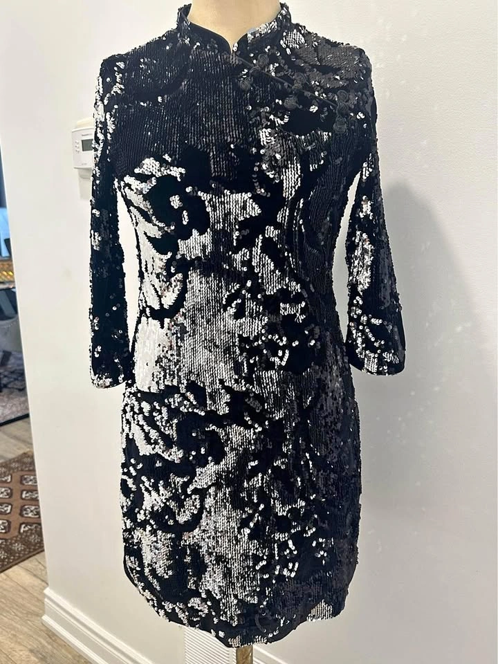 Zara Mini Dress XS