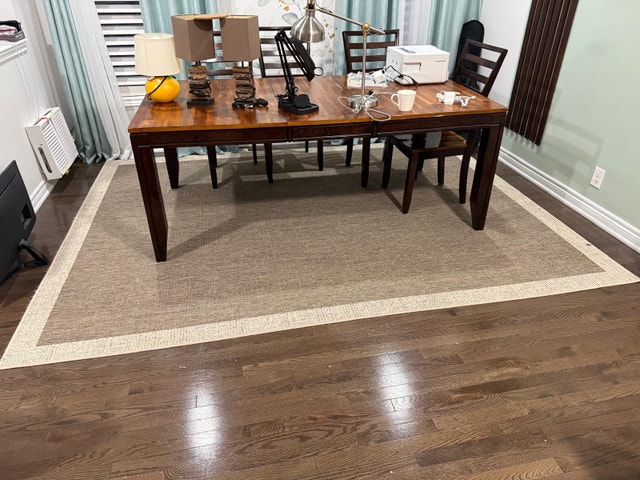 Indoor Outdoor Rug