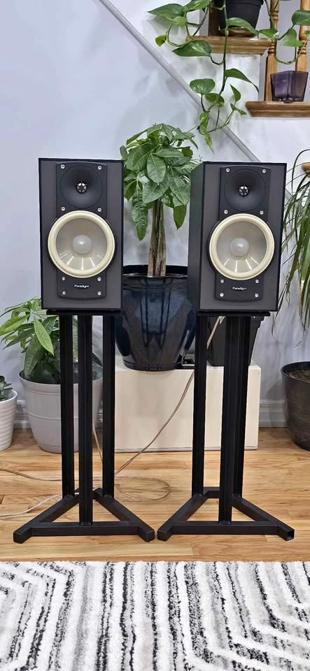 Paradigm mini monitor V.6 Bookshelf Speakers