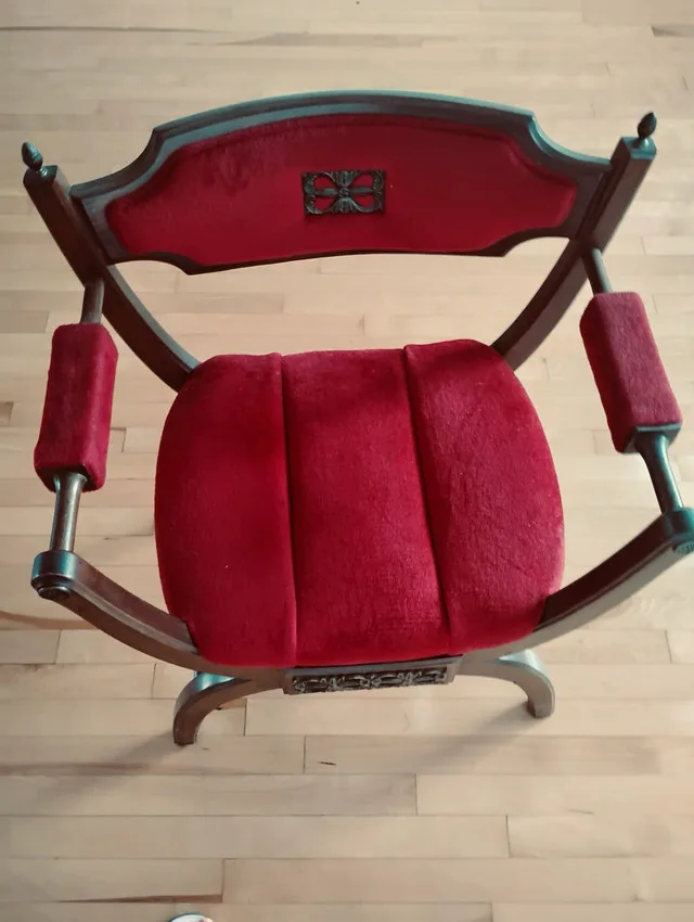 Montreal pick up/ Antique Rich Accent Chairs image indicator(5)