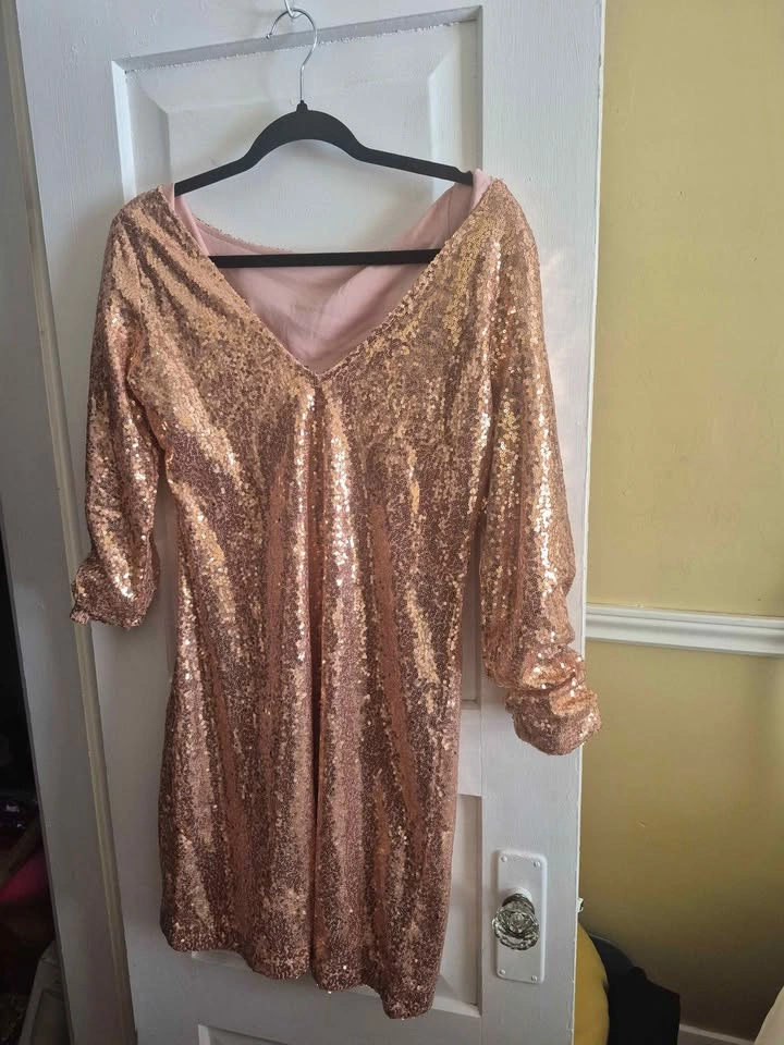 Sequin dress size xl