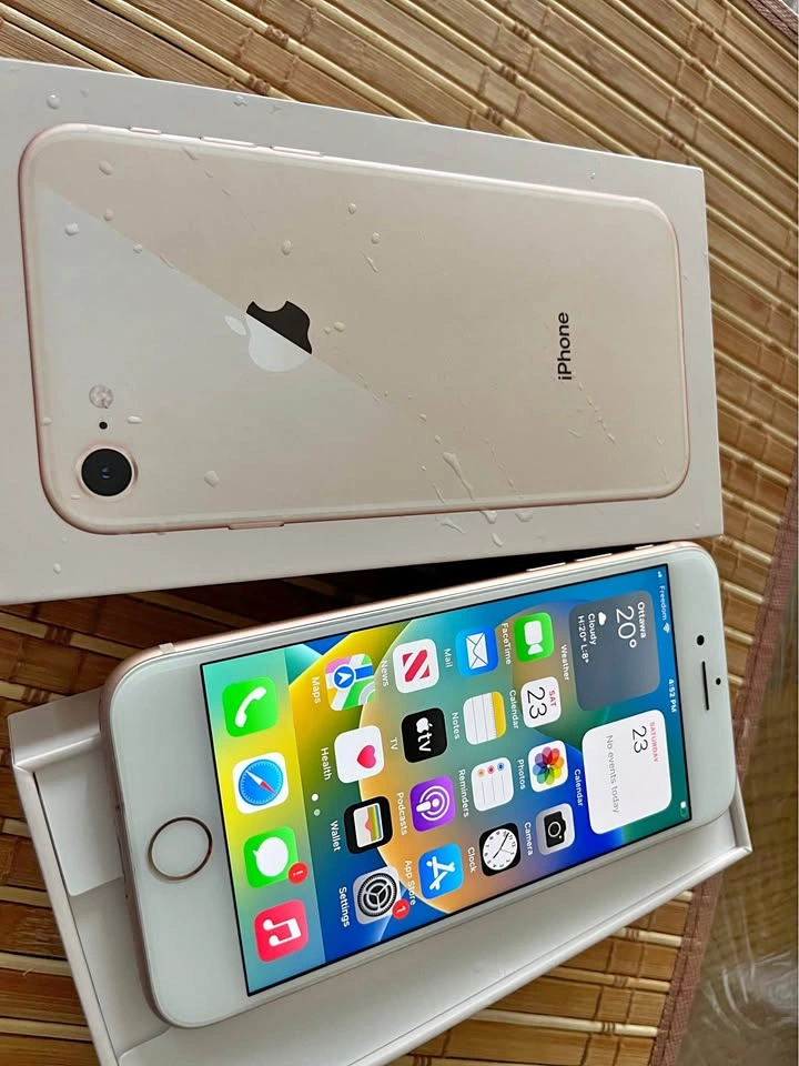 Apple iPhone 8 64GB Box and Charger