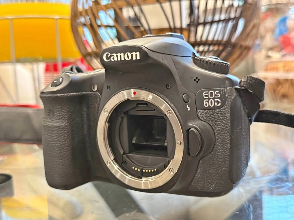 Canon EOS 60D DSLR Camera w/ 18-200mm Lens