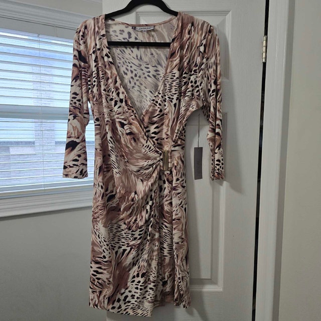 Jennifer Lopez Dress