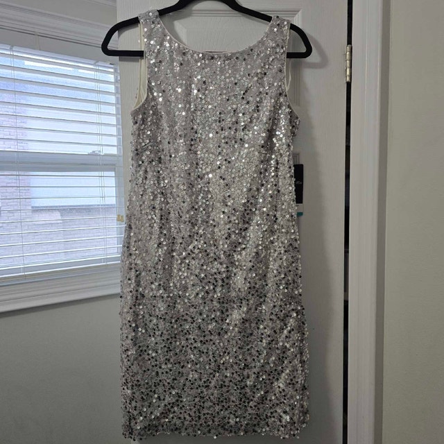 Scarlett Nite Silver Sequin Dress