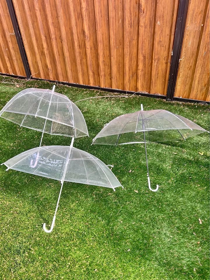 Clear Wedding/Event Umbrellas – 13 Total