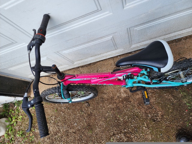 20'' Dual Shock Supercycle Momentum Bike - photo 3