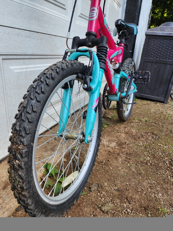 20'' Dual Shock Supercycle Momentum Bike - photo 4
