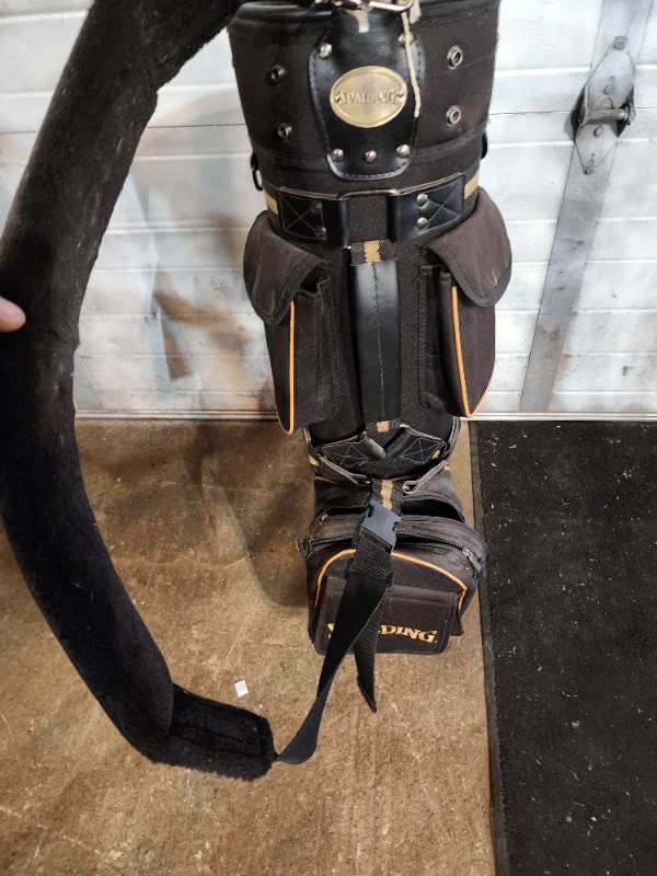 Spalding Golf Bag