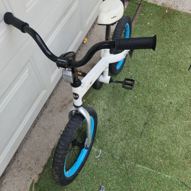 16'' Wheel White Royal Rider Bicycle - photo 4