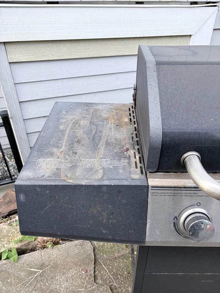 Free bbq - photo 2