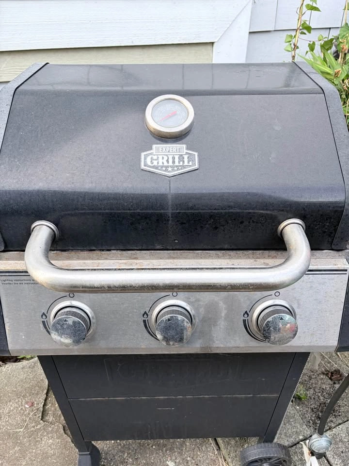Free bbq - photo 3