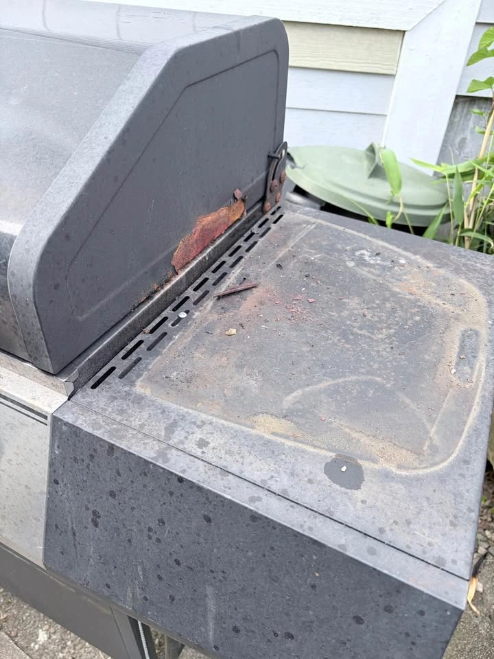 Free bbq - photo 5