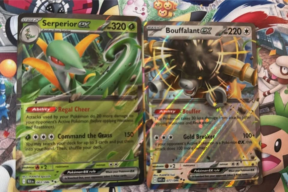 Filled Pokémon card binder - photo 2