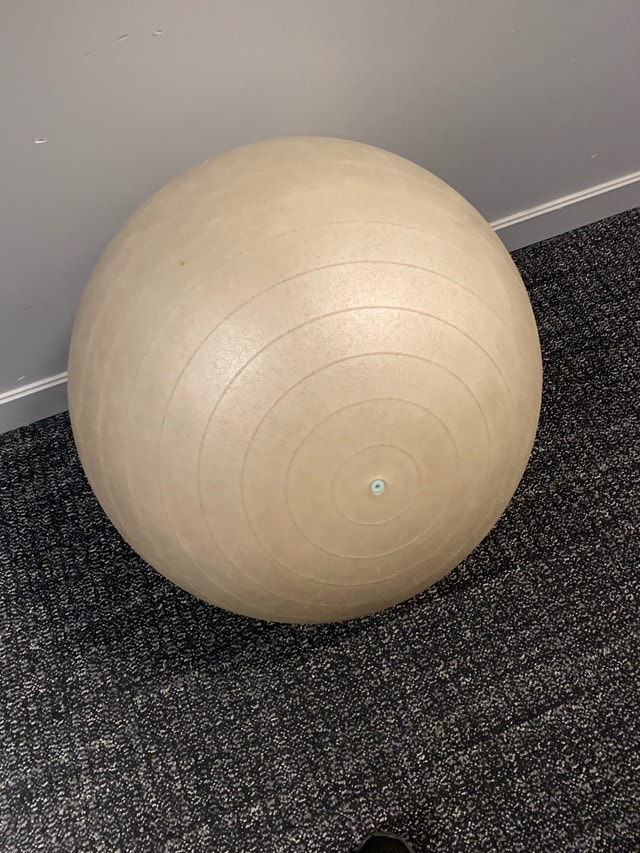 FitBALL 75cm Exercise Ball - photo 2