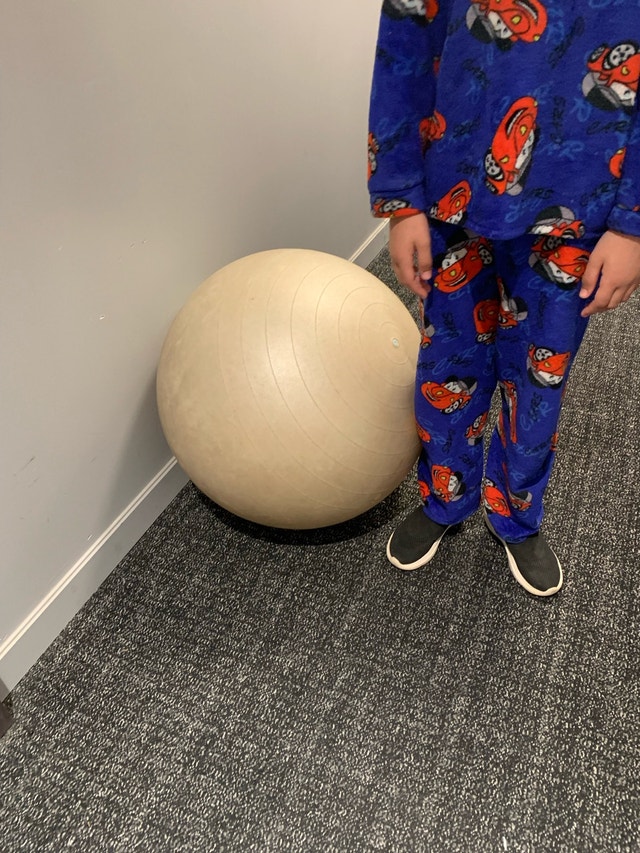 FitBALL 75cm Exercise Ball - photo 3