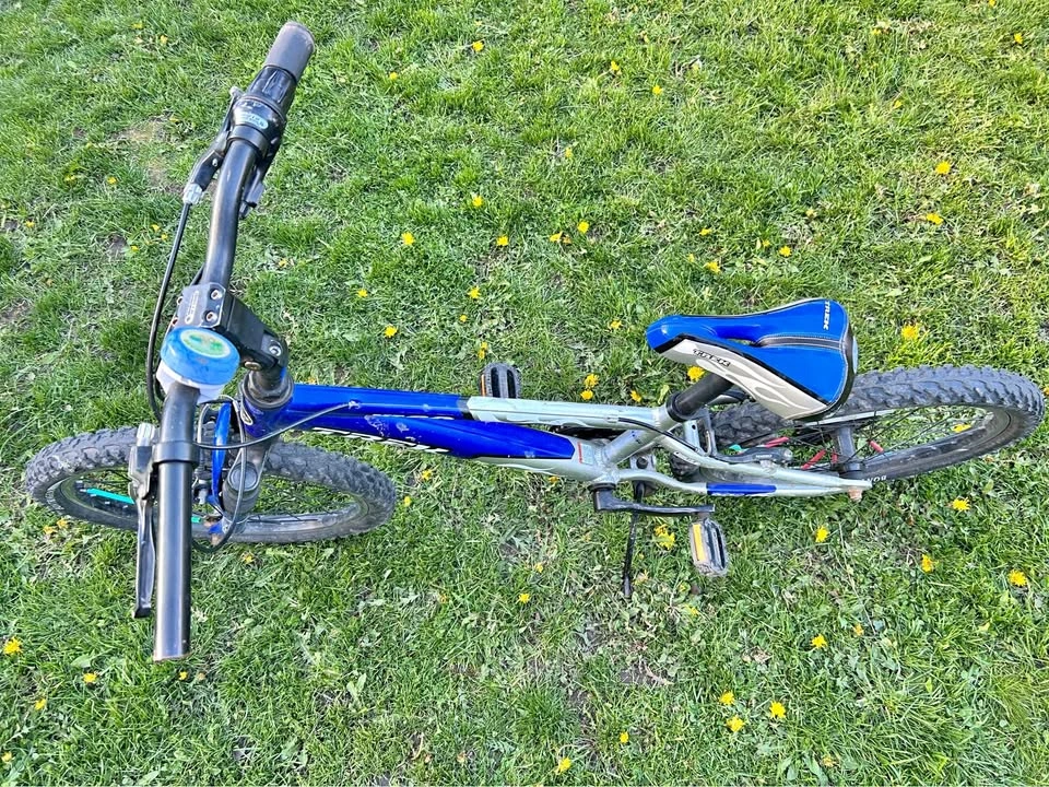 TREK MT60 Bike
