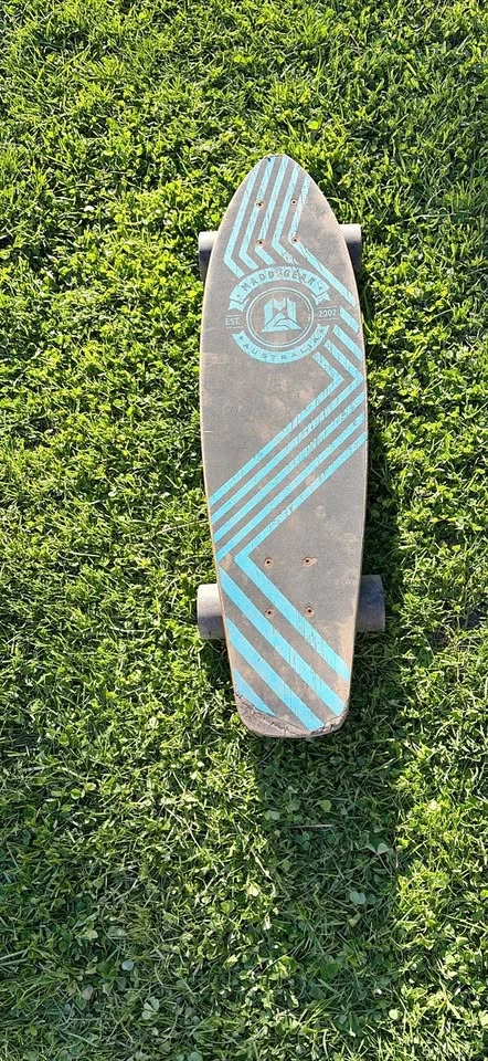 Arbor Skateboard