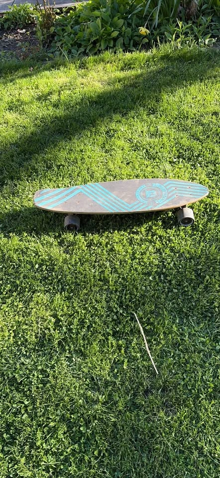 Arbor Skateboard - photo 2