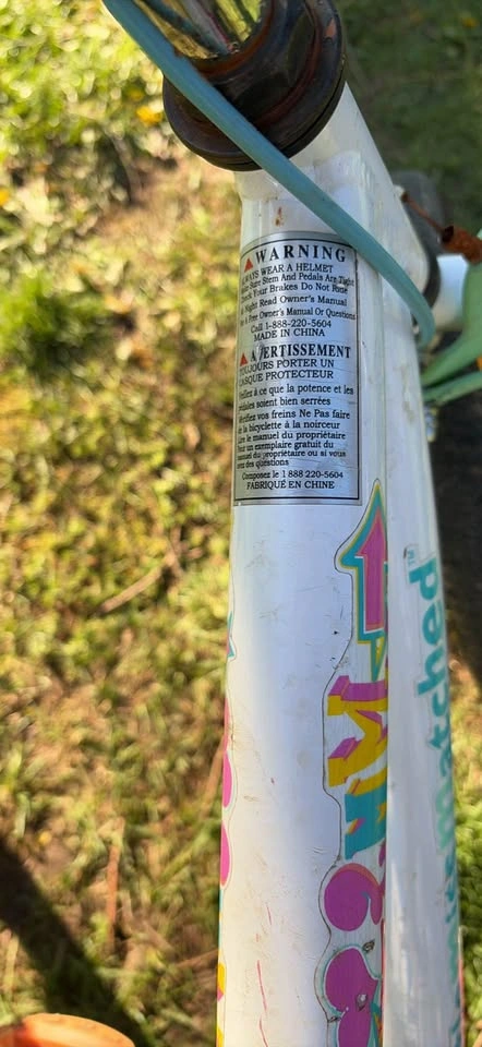 Little Miss Matched Bike - photo 4
