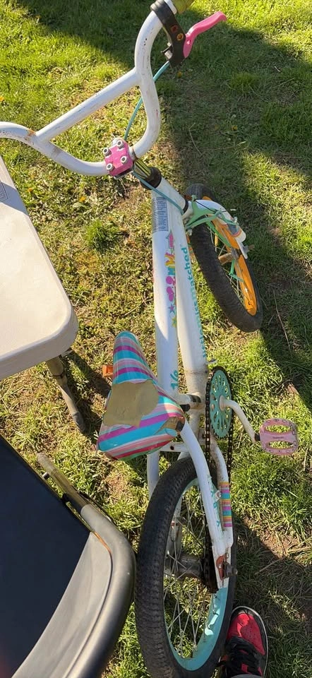 Little Miss Matched Bike - photo 5