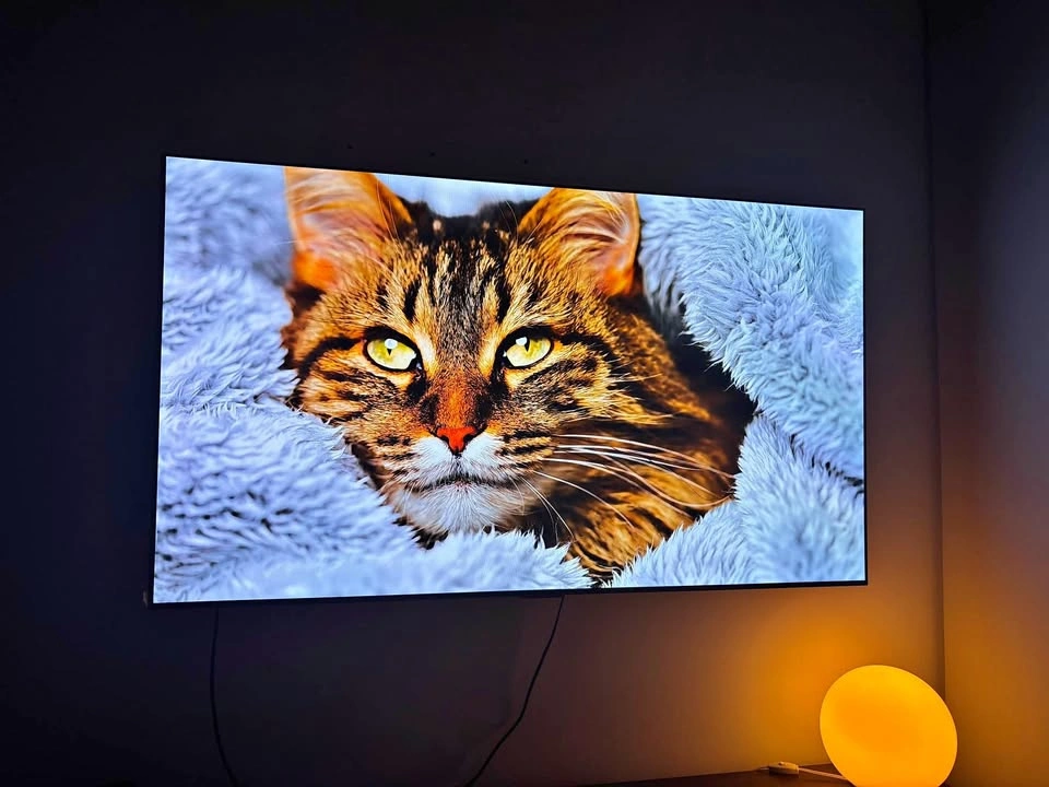65” LG OLED C4 TV with Full Motion Wall Mount