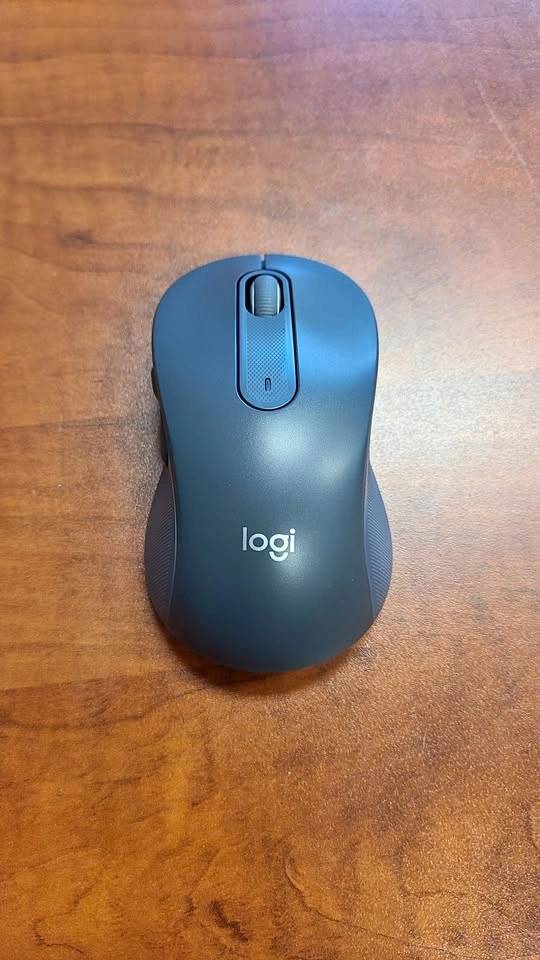Logitech M650L Wireless Silent Mouse (Large Size)