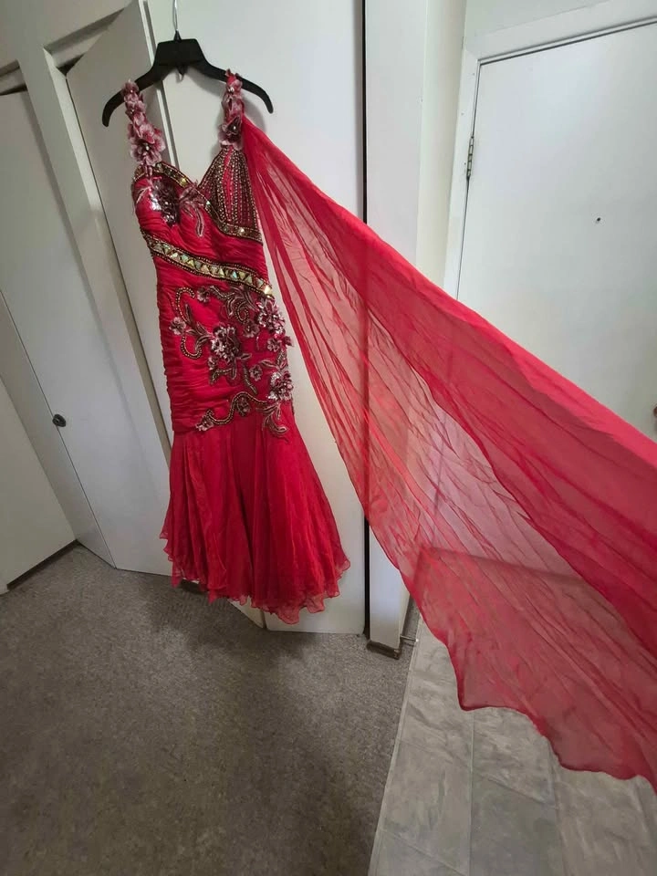 Red Embroidered Beaded Formal Dress with Dupatta - photo 5